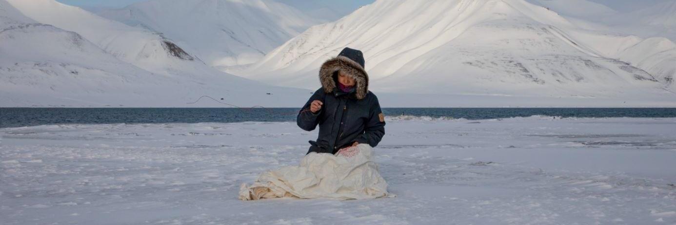 Beili Liu, Artic Mending