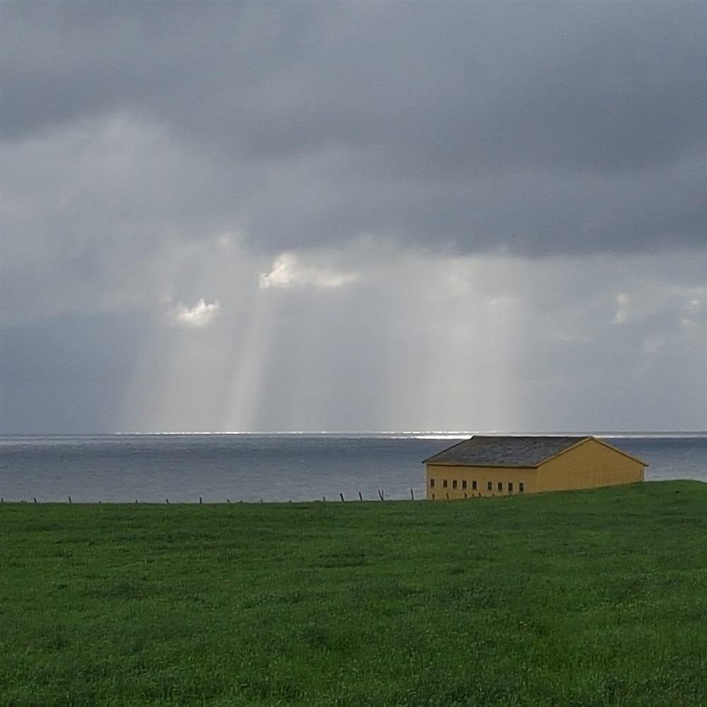 Bilde av naust, himmel og hav. Foto. - Klikk for stort bilete