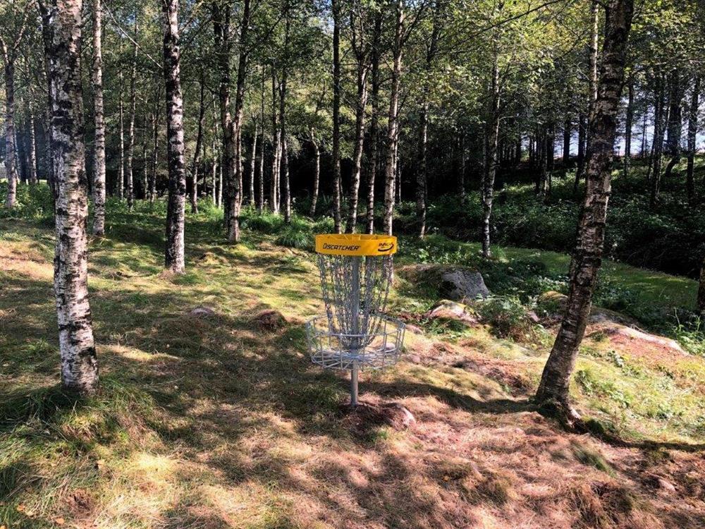 Ei av korgene på banen. Foto. - Klikk for stort bilete