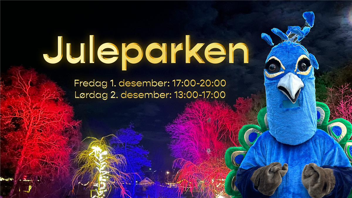 Plakat som viser dato og klokkeslett for Juleparken. - Klikk for stort bilete
