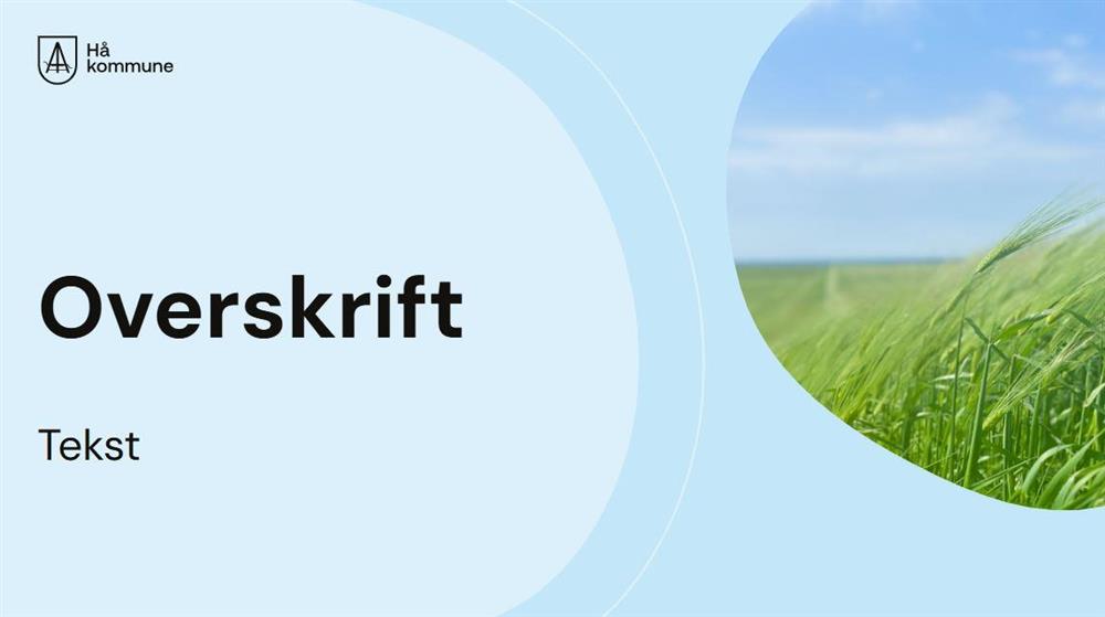 Klikk for stort bilete