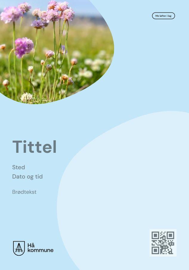 Klikk for stort bilete