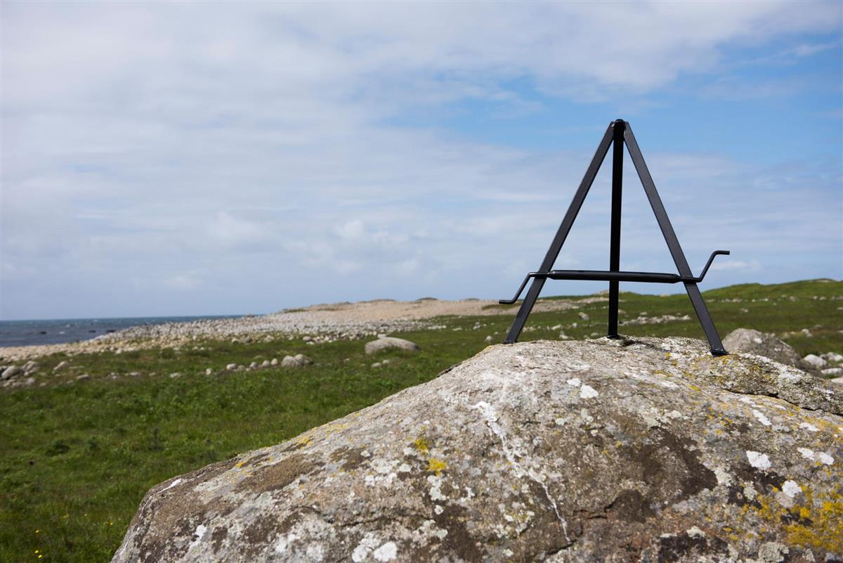 Bilde av liten steinbukk som står på en stein i jærlandskap.  - Klikk for stort bilete