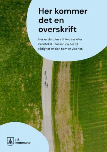 Klikk for stort bilete