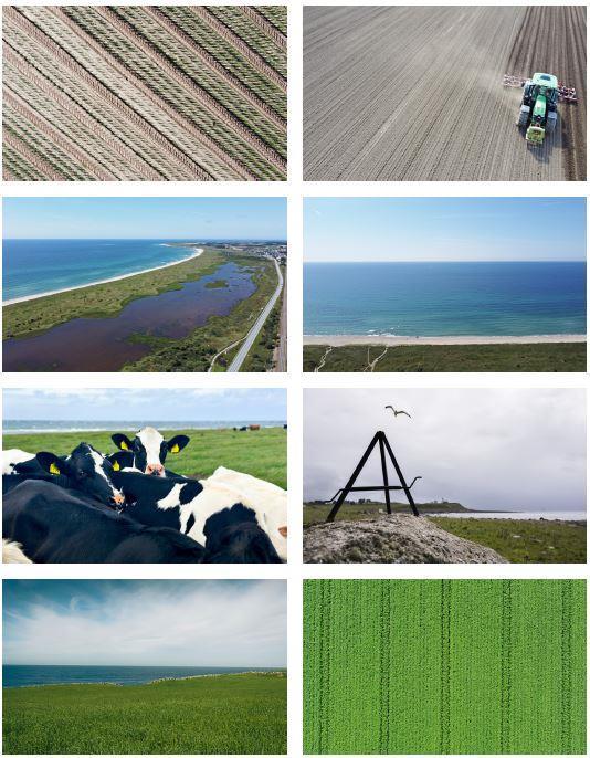 Ulike alternative foto - Klikk for stort bilete