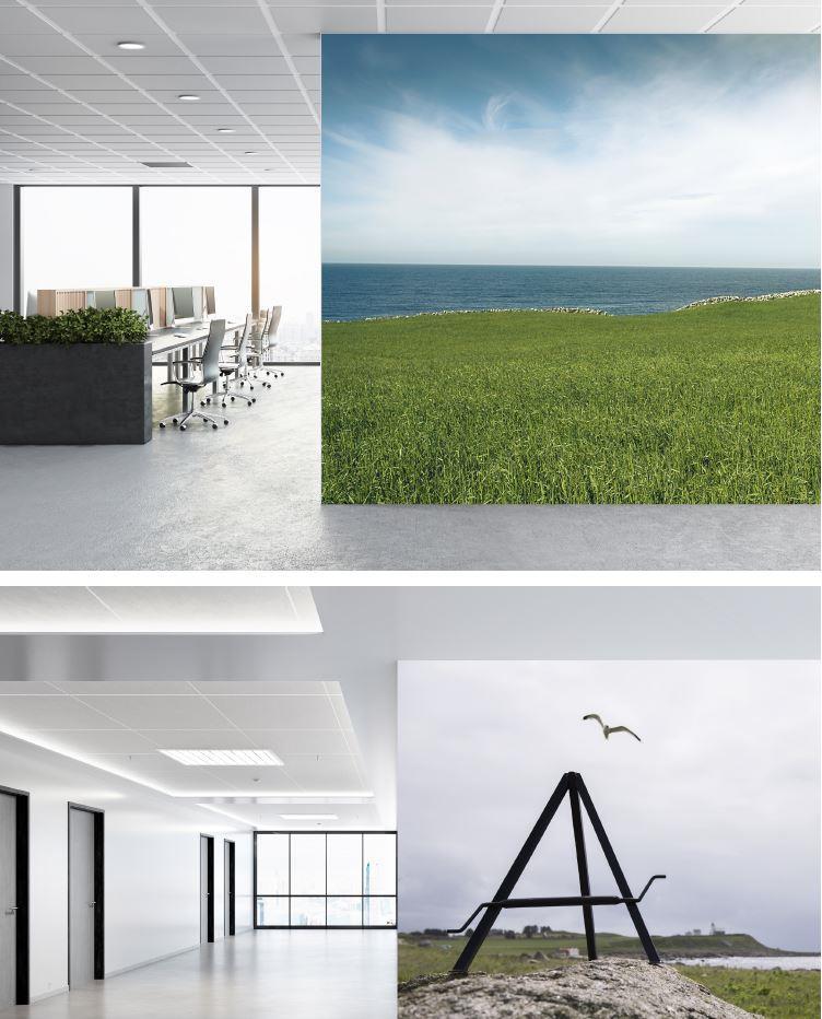 foliering av vegg - Klikk for stort bilete