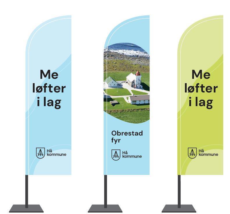 Eksempel på beachflag - Klikk for stort bilete